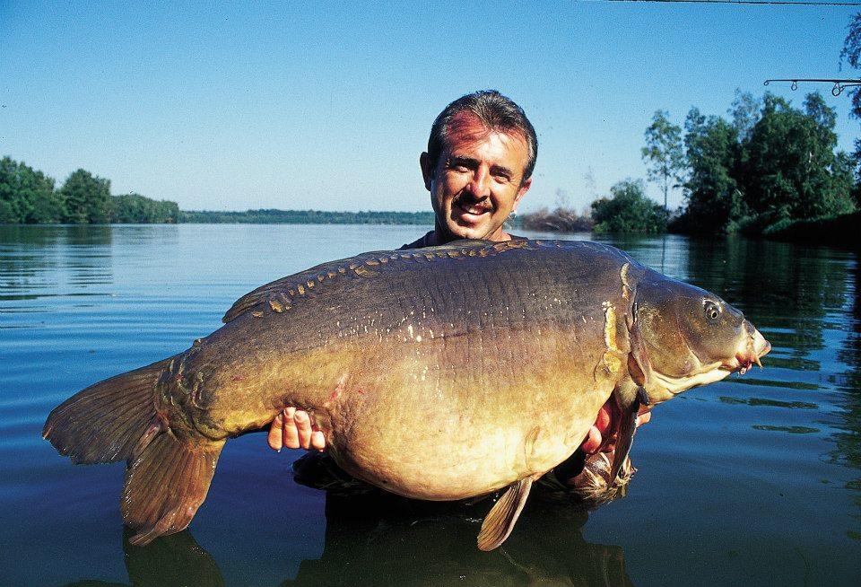 Frank Warwick - 25997947476968995792072656875n.jpg